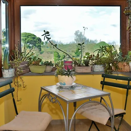 La Casetta Della Nonna Dom wakacyjny