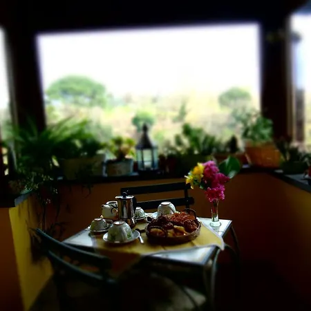 Tatil Evi La Casetta Della Nonna *